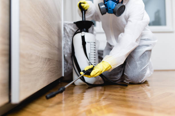 Pest Prevention Services in Mounds View, MN