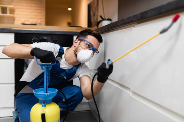 Reliable Mounds View, MN Pest Control Solutions
