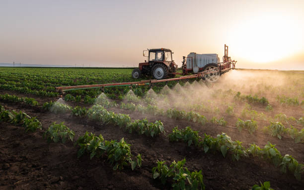 Professional Pest Control in Mounds View, MN