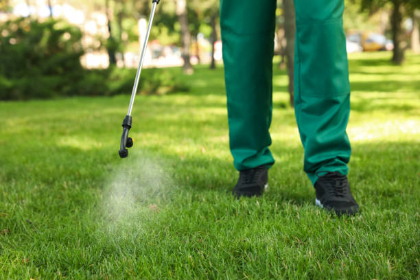 Best Pest Control Near Me in Mounds View, MN