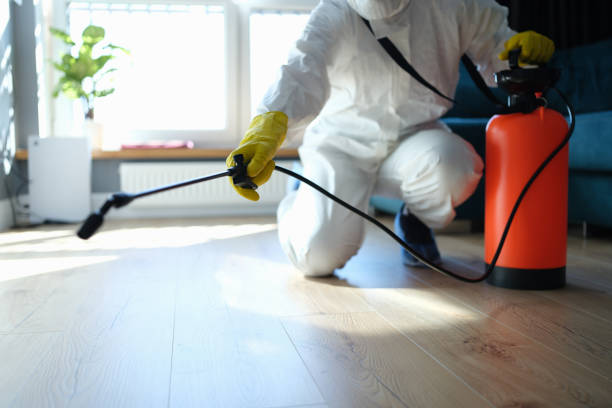 Best Termite Control Services  in Mounds View, MN