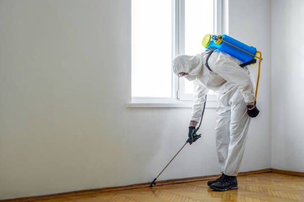 Best Affordable Pest Control Services  in Mounds View, MN