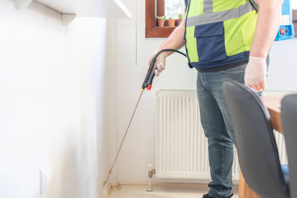 Best Ant Control Services  in Mounds View, MN