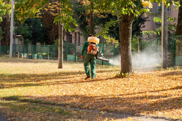 Best Emergency Pest Control  in Mounds View, MN