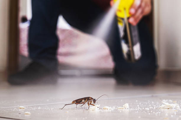 Best Mosquito Control Services  in Mounds View, MN