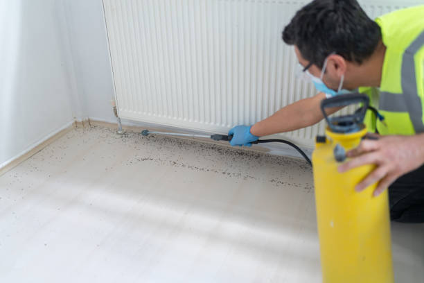 Best Flea Control Services  in Mounds View, MN