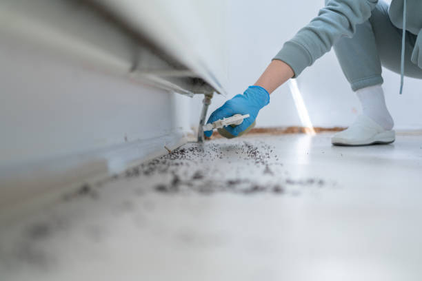 Wildlife Control Services in Mounds View, MN