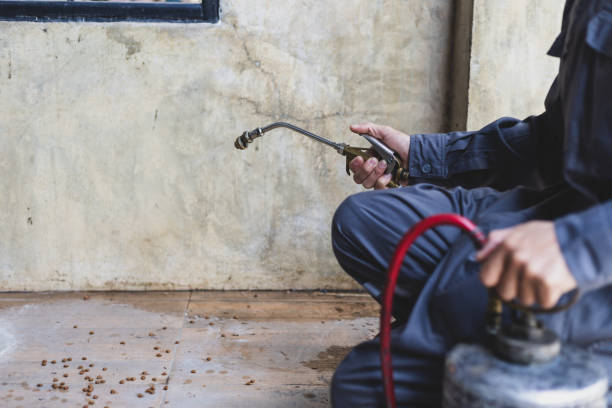 Best Pest Removal Services  in Mounds View, MN