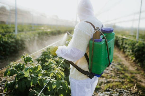Best Pest Prevention Services  in Mounds View, MN